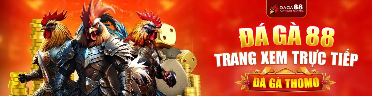 Đấu trường đá gà trực tuyến sôi động tại HB888
